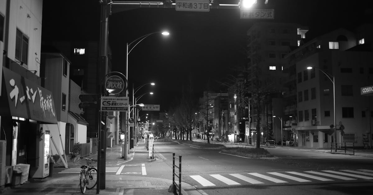 Le Contrôle de Police